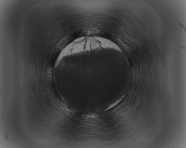 X0000097500475200803201556