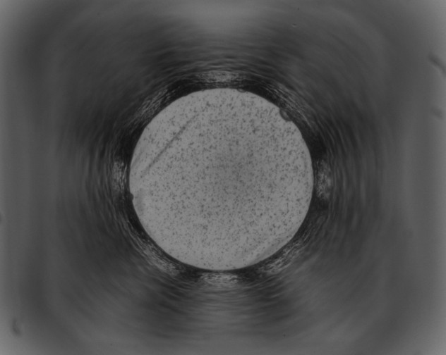 X0000097500476200803201556