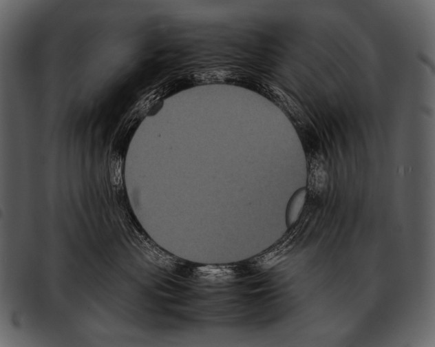 X0000097500477200803201556