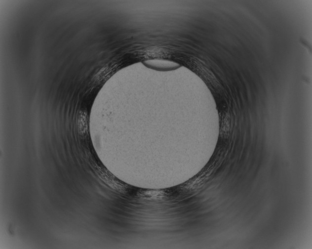 X0000097500478200803201556
