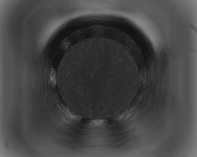 X0000097500479200803201556