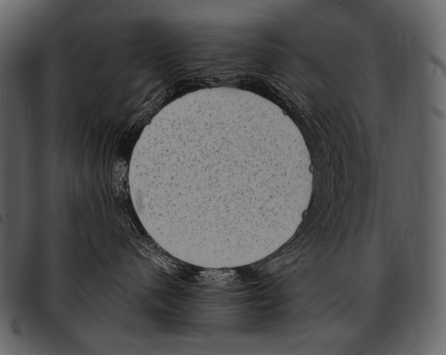 X0000097500480200803201556