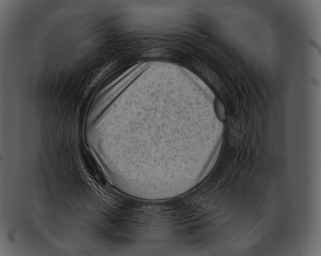 X0000097500482200803201556