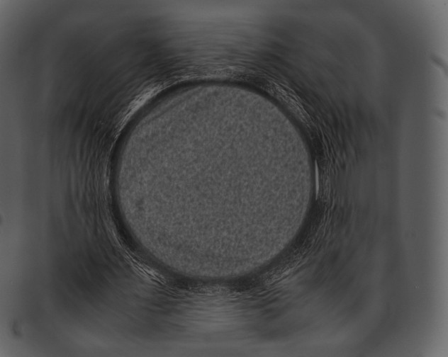 X0000097500483200803201556