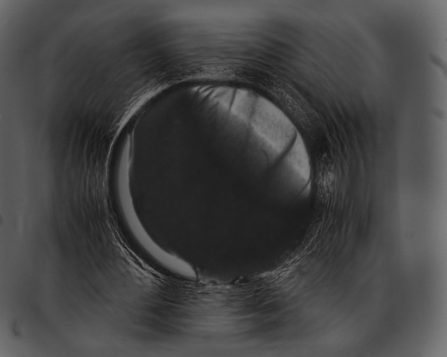 X0000097500484200803201556
