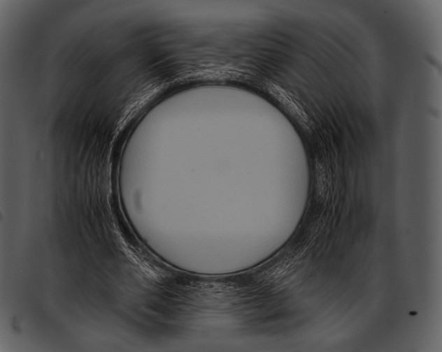 X0000097500486200803201555