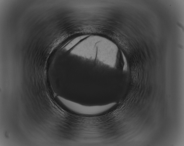 X0000097500488200803201555