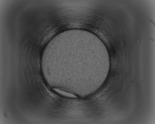 X0000097500489200803201555