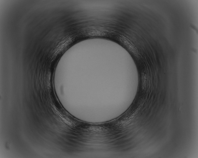X0000097500490200803201555