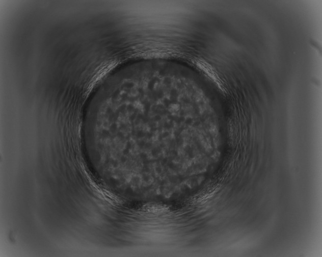 X0000097500491200803201555