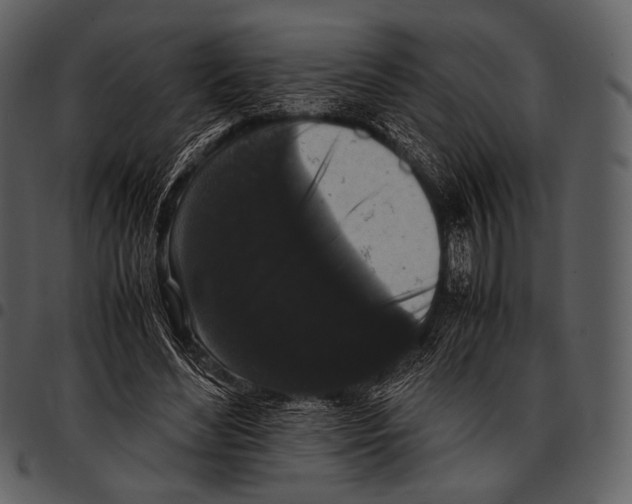 X0000097500492200803201555