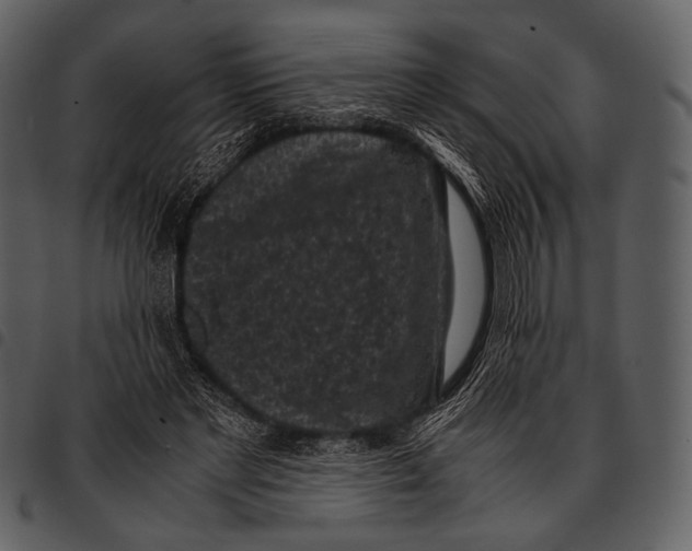 X0000097500493200803201555
