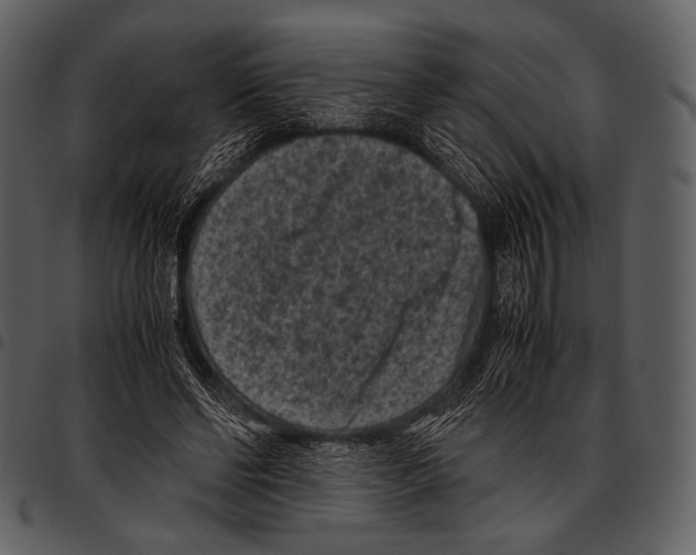 X0000097500494200803201555