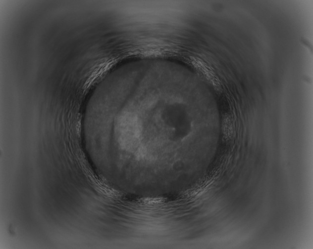 X0000097500495200803201555