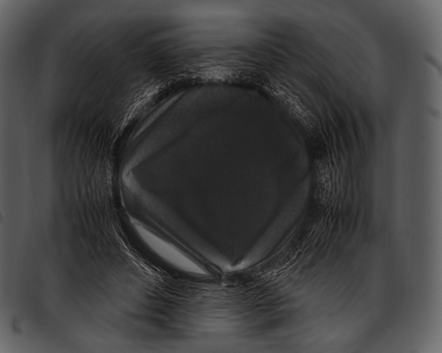 X0000097500496200803201555