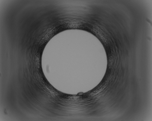X0000097500497200803201555