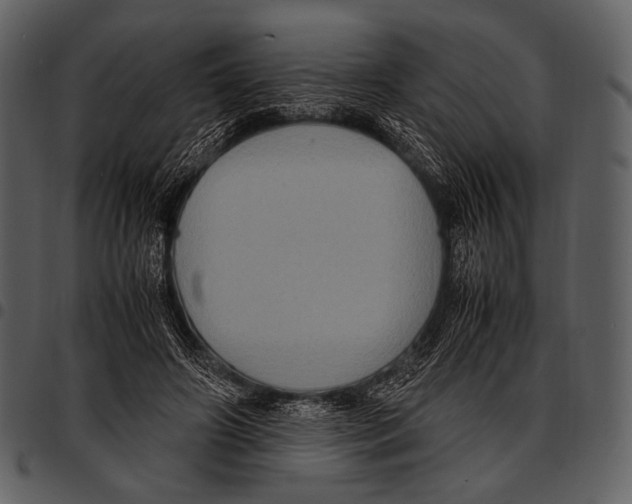 X0000097500498200803201555