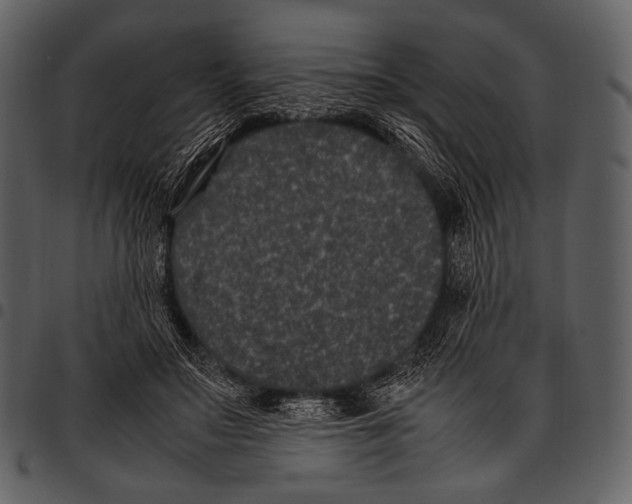 X0000097500499200803201555