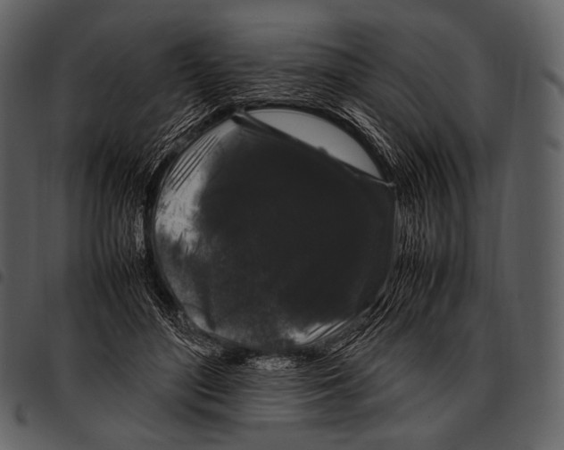 X0000097500500200803201555