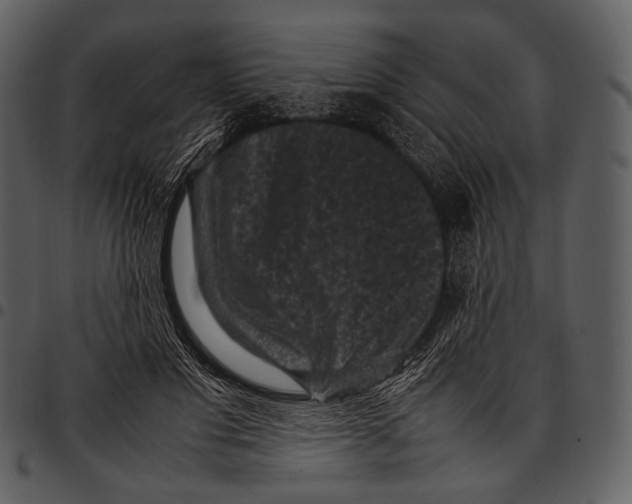 X0000097500501200803201555