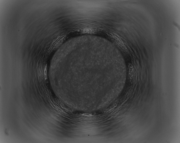 X0000097500502200803201555