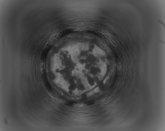 X0000097500503200803201555