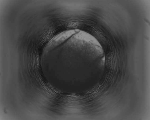 X0000097500504200803201555
