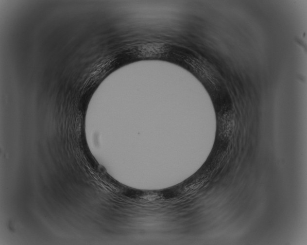 X0000097500505200803201555