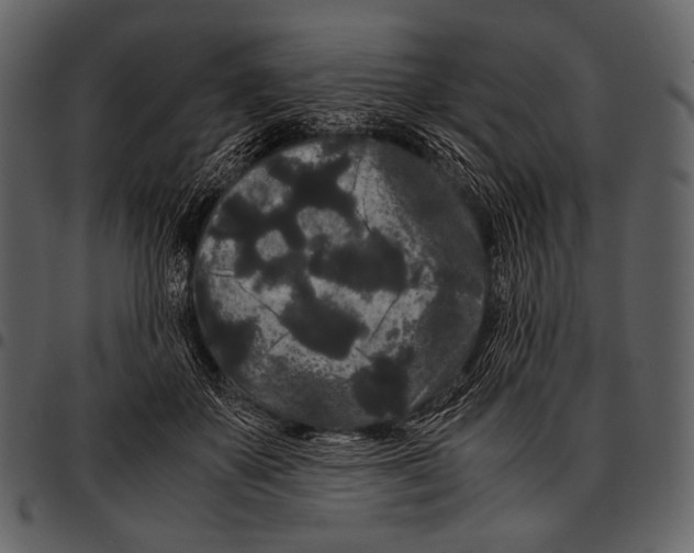 X0000097500507200803201555