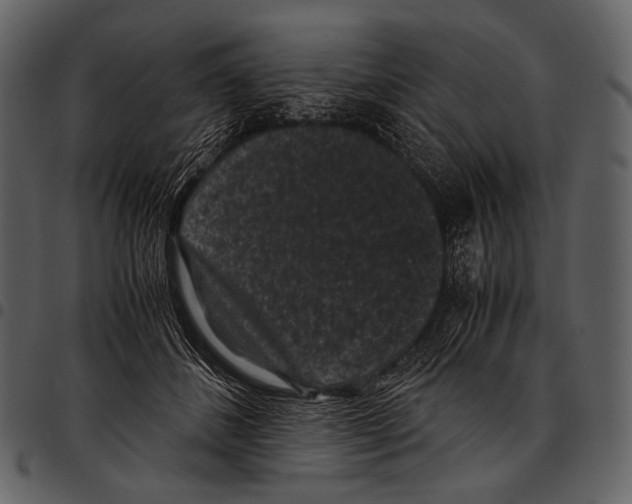 X0000097500508200803201555