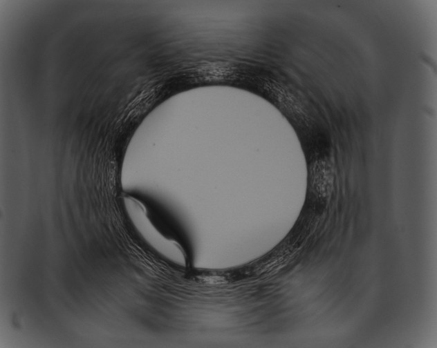 X0000097500509200803201555