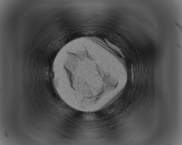 X0000097500510200803201555