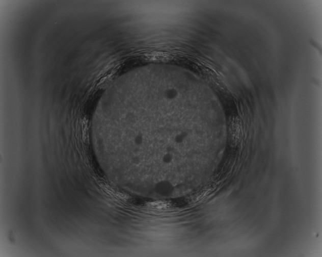 X0000097500511200803201555