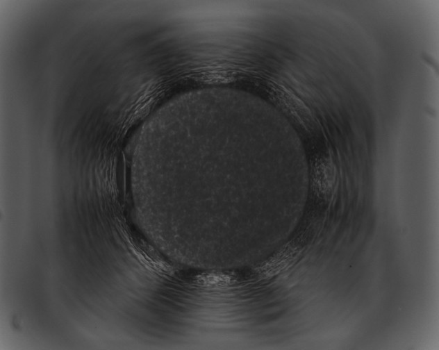 X0000097500512200803201555