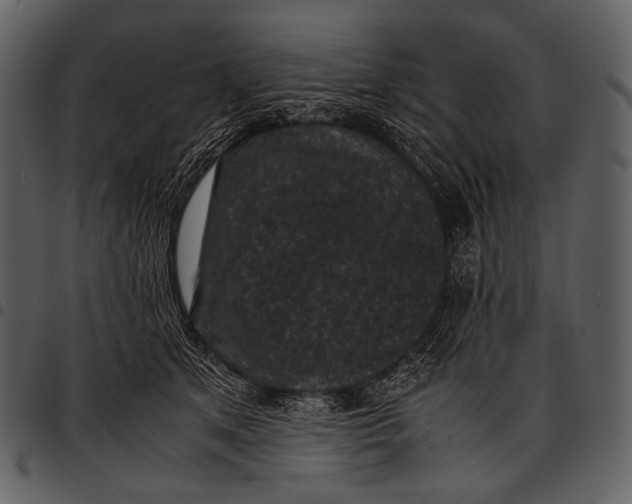 X0000097500513200803201555