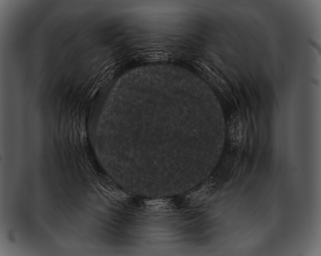 X0000097500516200803201555
