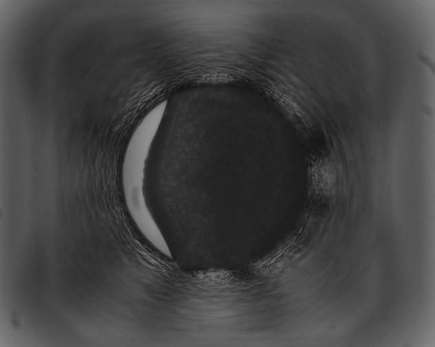 X0000097500517200803201555