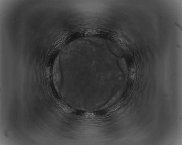 X0000097500519200803201555