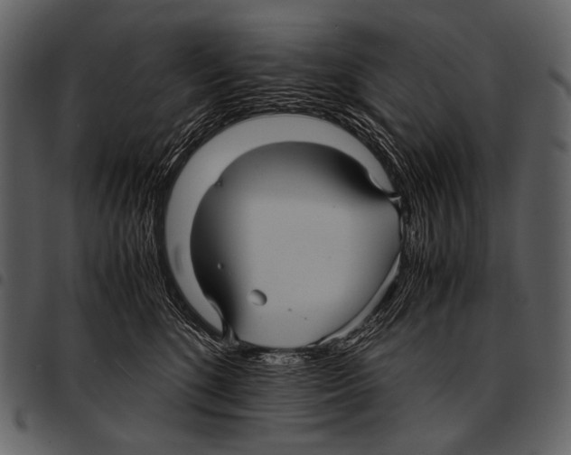 X0000097500520200803201555