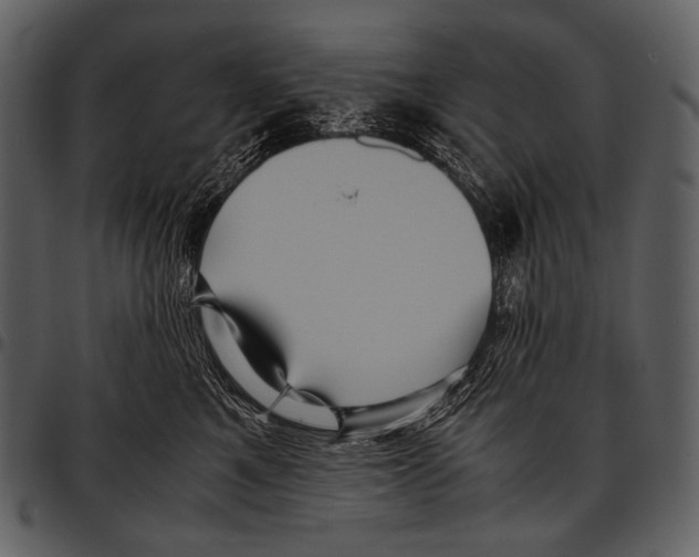 X0000097500521200803201555