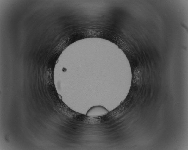X0000097500522200803201555
