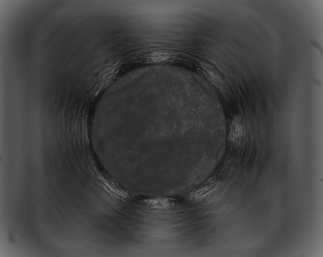 X0000097500524200803201555