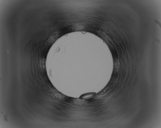 X0000097500525200803201555