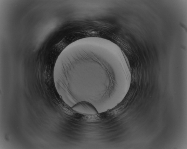 X0000097500526200803201555