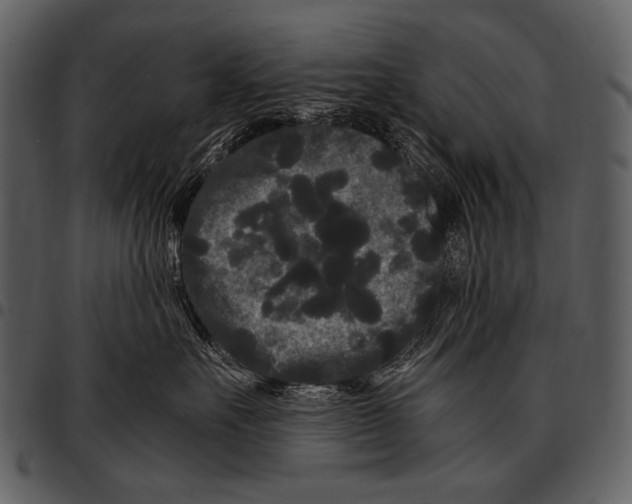 X0000097500527200803201555
