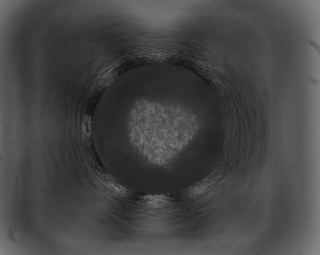 X0000097500528200803201555