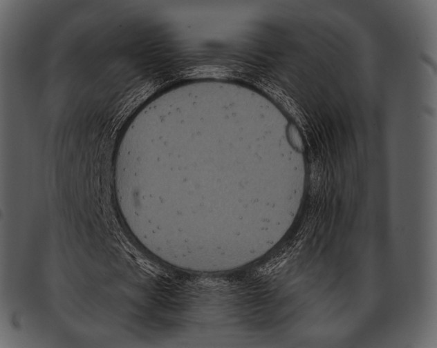 X0000097500529200803201554