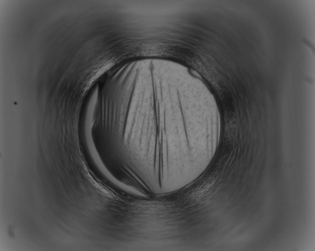 X0000097500530200803201554