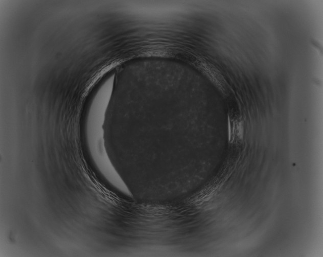 X0000097500531200803201554