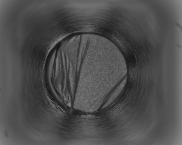 X0000097500532200803201554